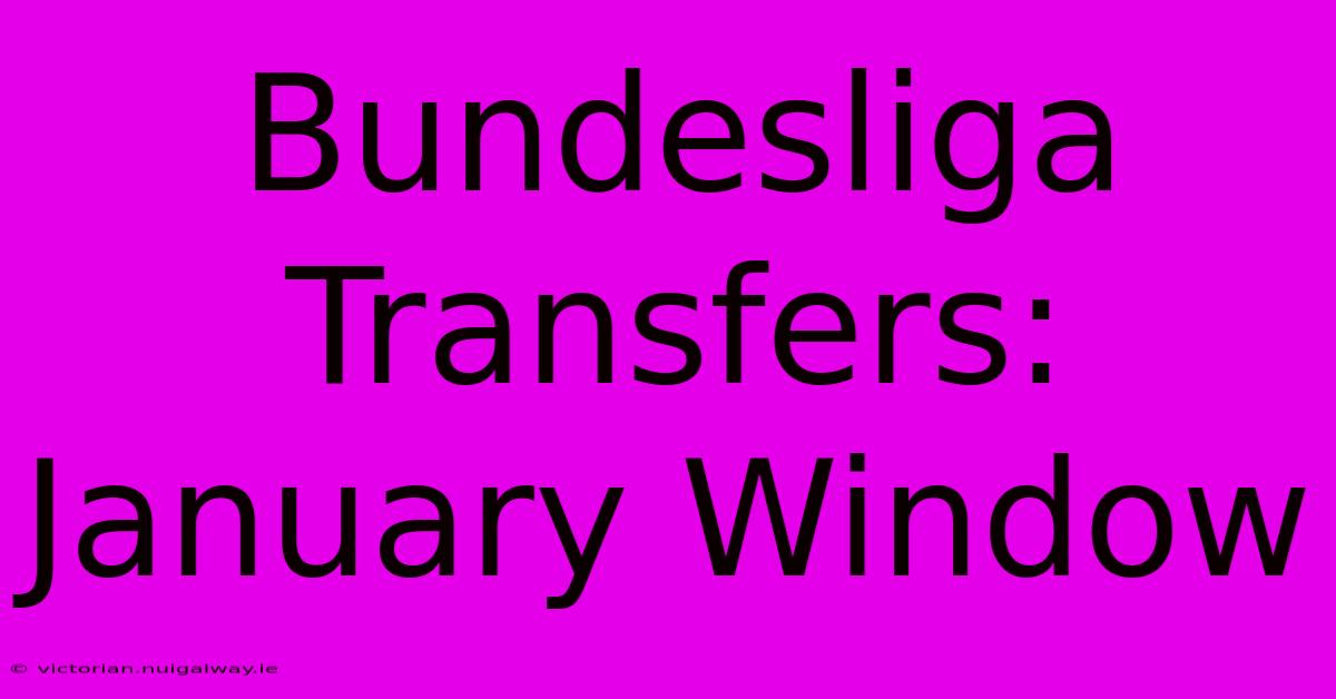 Bundesliga Transfers: January Window