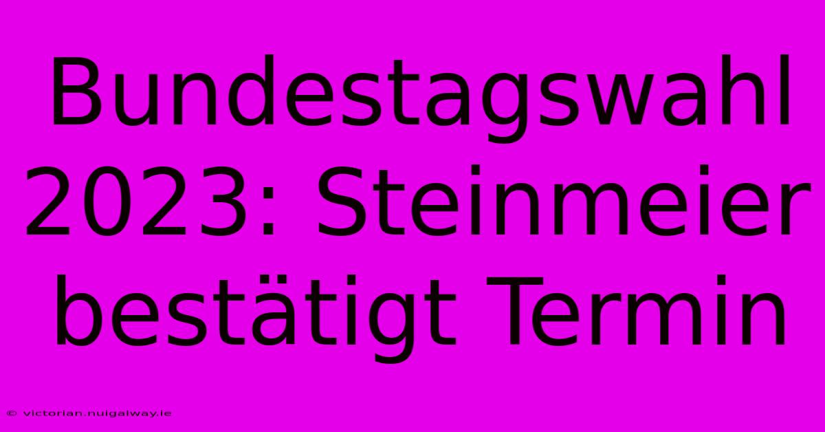 Bundestagswahl 2023: Steinmeier Bestätigt Termin 