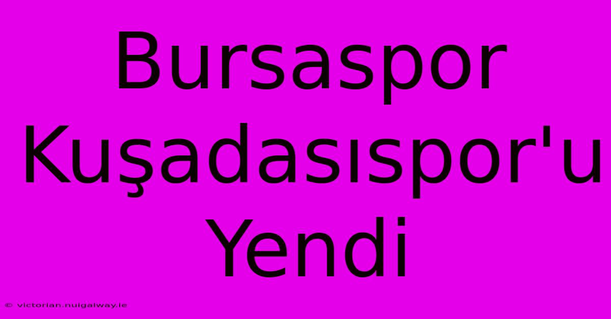 Bursaspor Kuşadasıspor'u Yendi