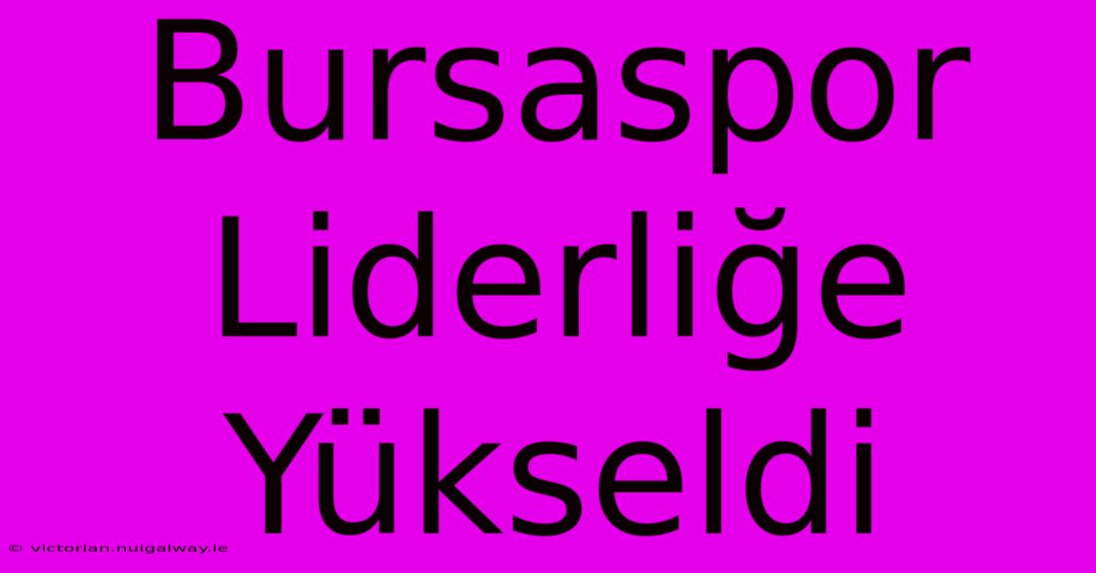 Bursaspor Liderliğe Yükseldi 