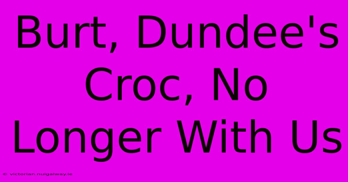 Burt, Dundee's Croc, No Longer With Us