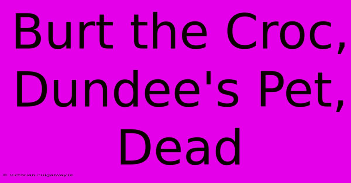 Burt The Croc, Dundee's Pet, Dead