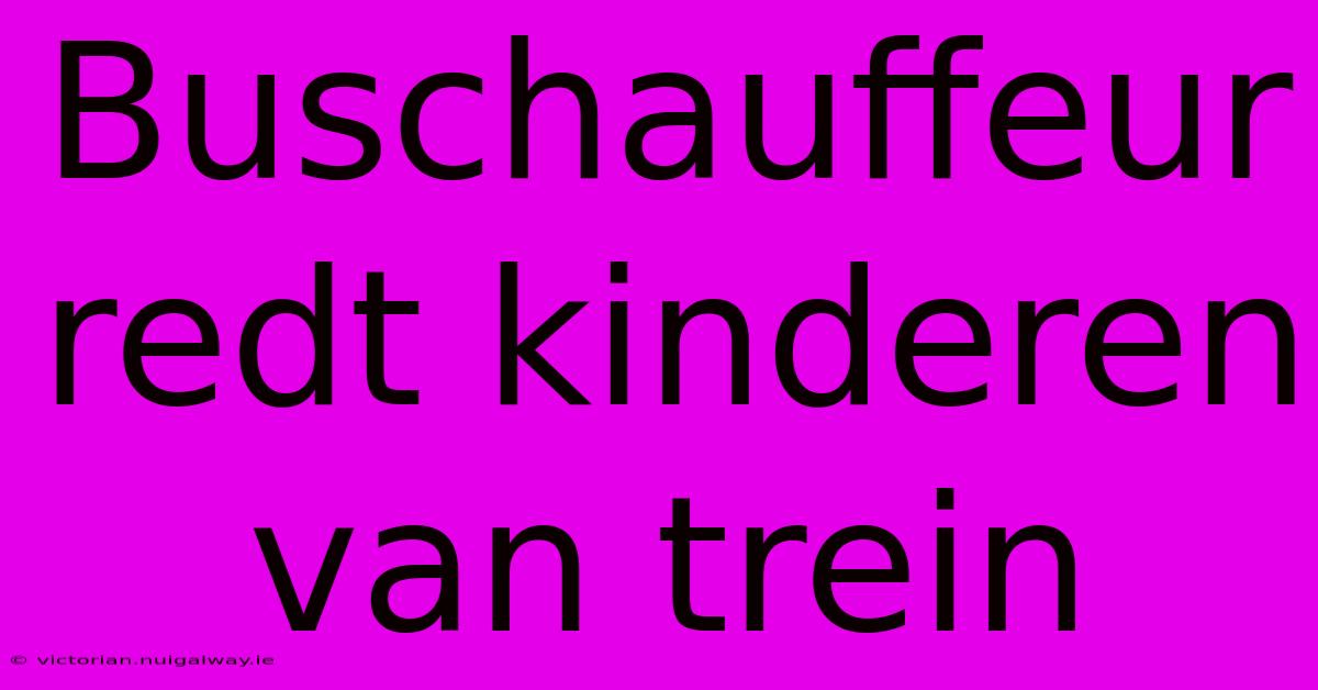 Buschauffeur Redt Kinderen Van Trein