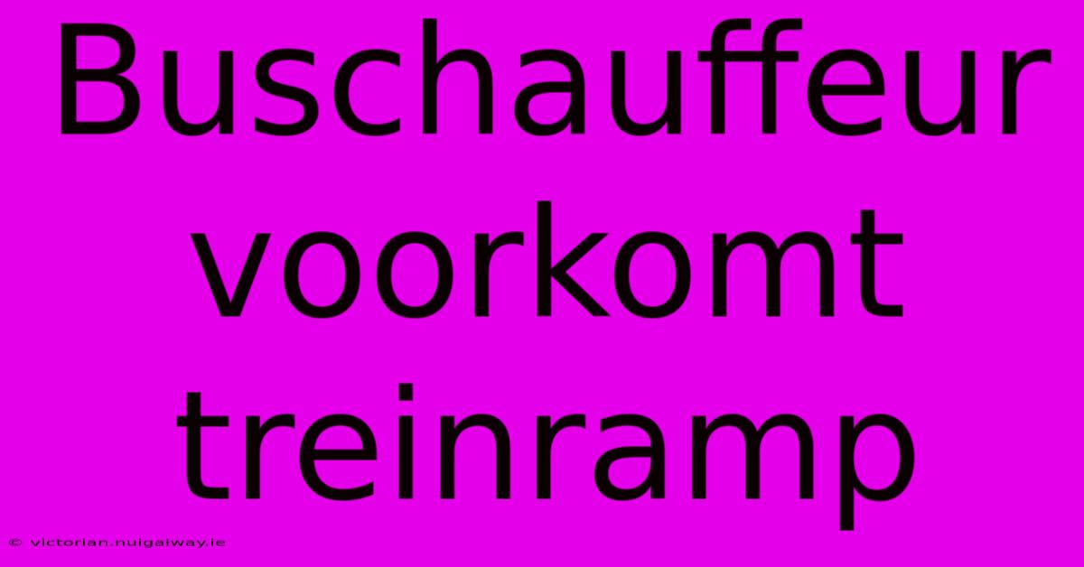 Buschauffeur Voorkomt Treinramp