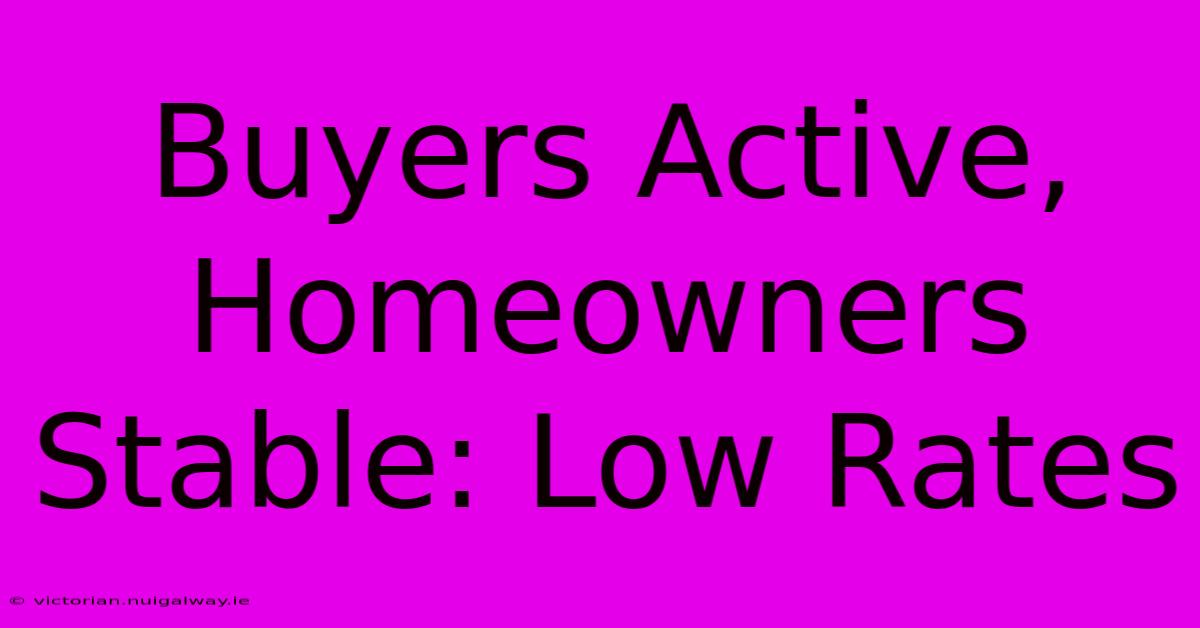 Buyers Active, Homeowners Stable: Low Rates