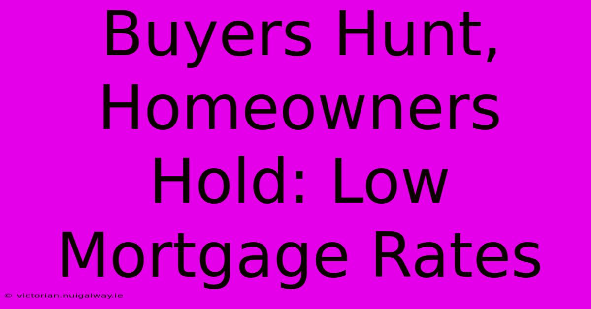 Buyers Hunt, Homeowners Hold: Low Mortgage Rates