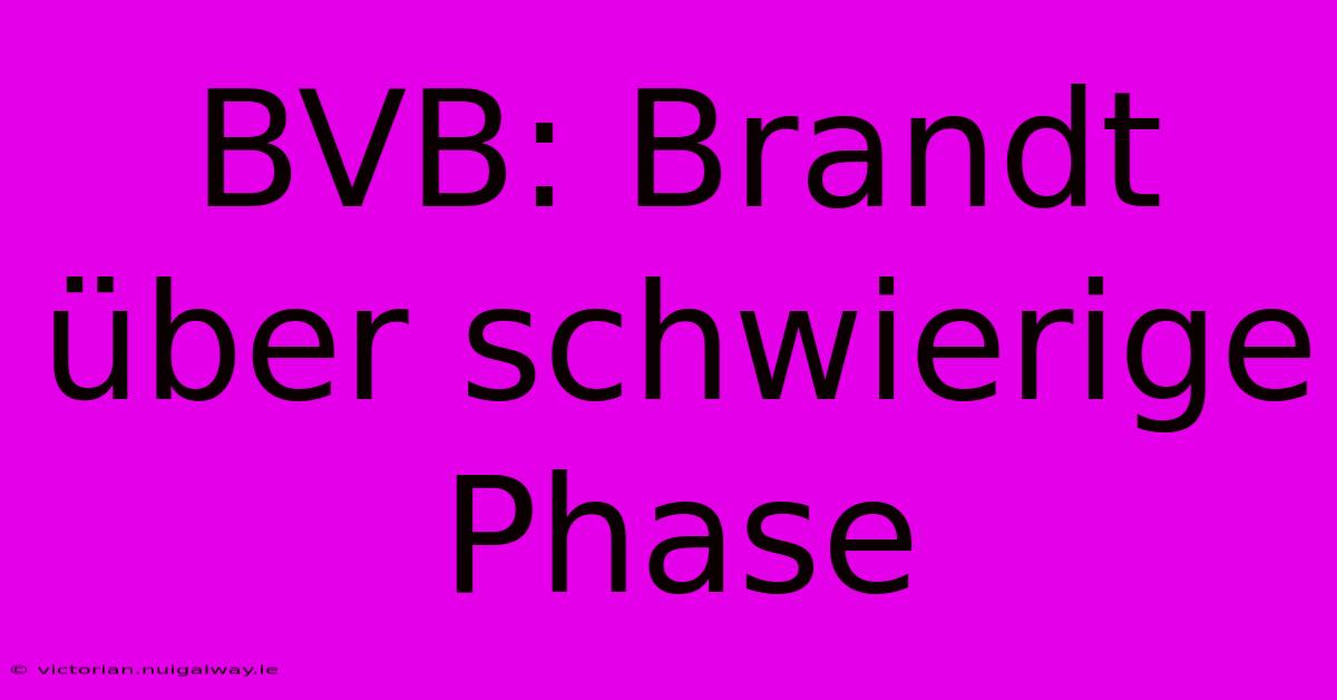 BVB: Brandt Über Schwierige Phase