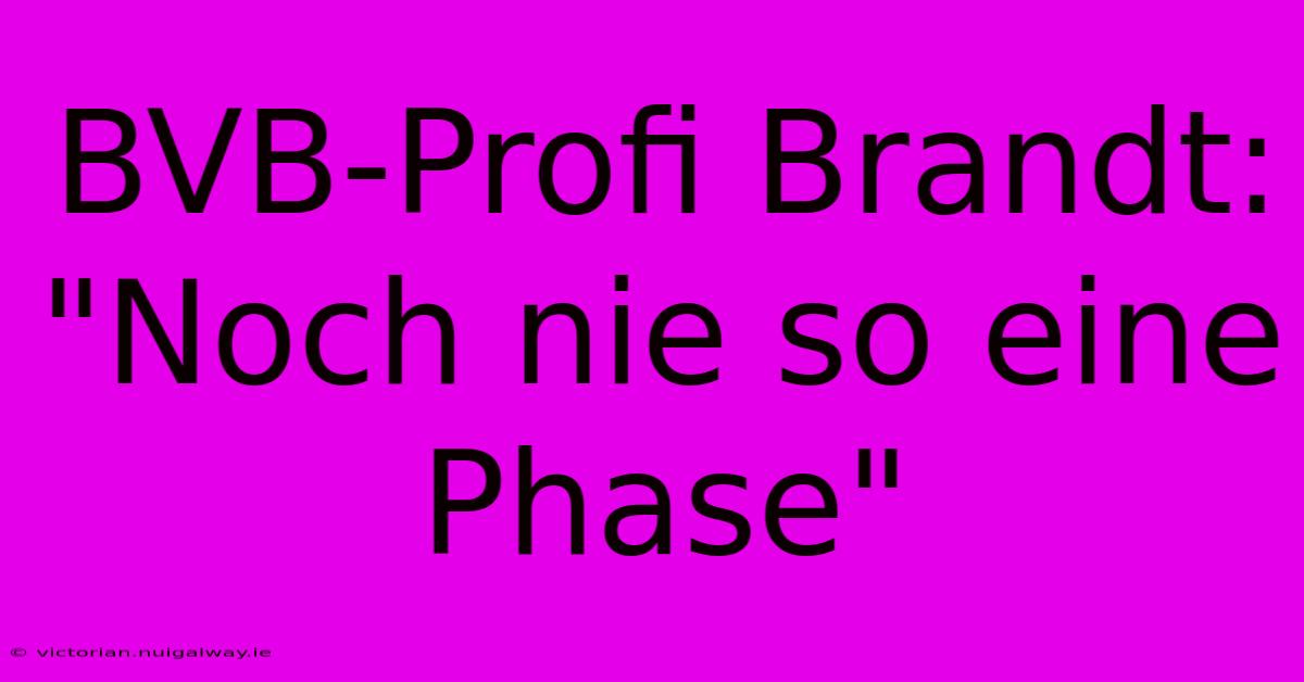 BVB-Profi Brandt: 