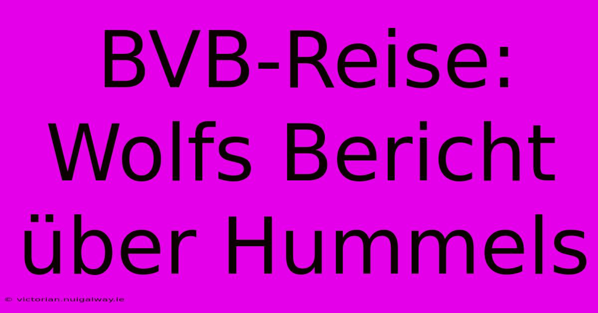 BVB-Reise: Wolfs Bericht Über Hummels