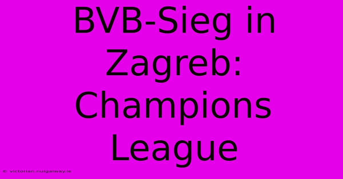 BVB-Sieg In Zagreb: Champions League