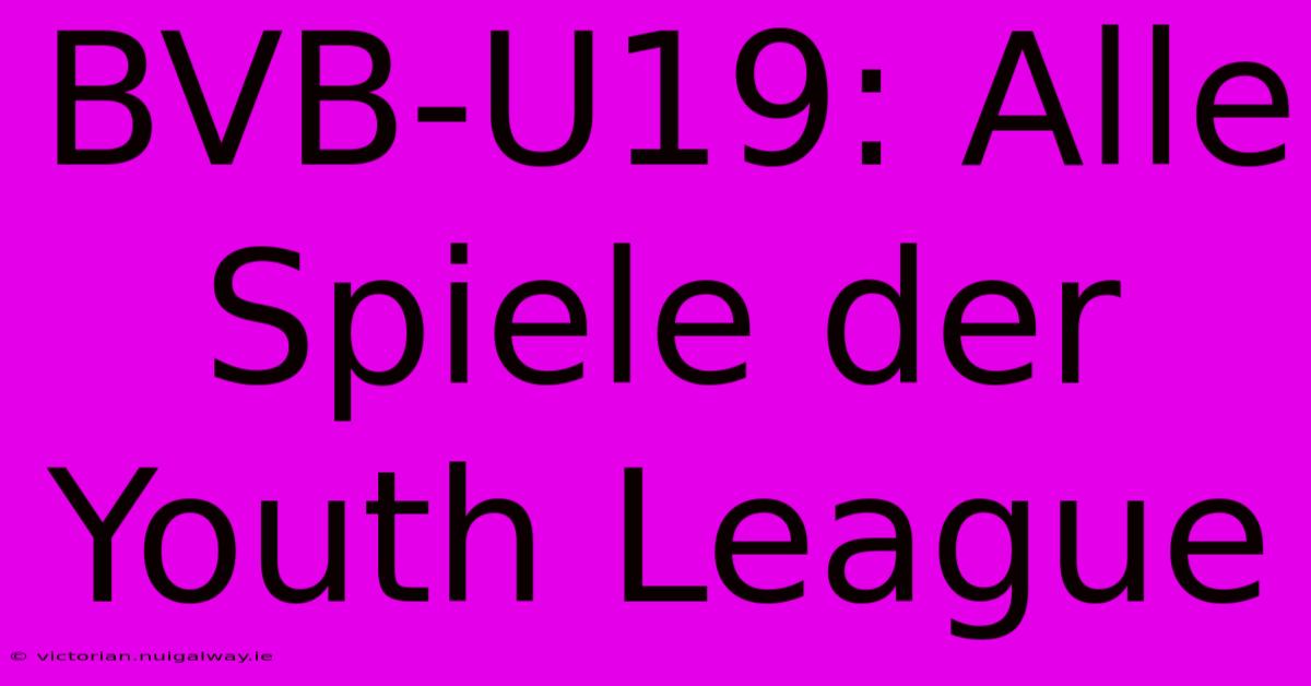 BVB-U19: Alle Spiele Der Youth League 