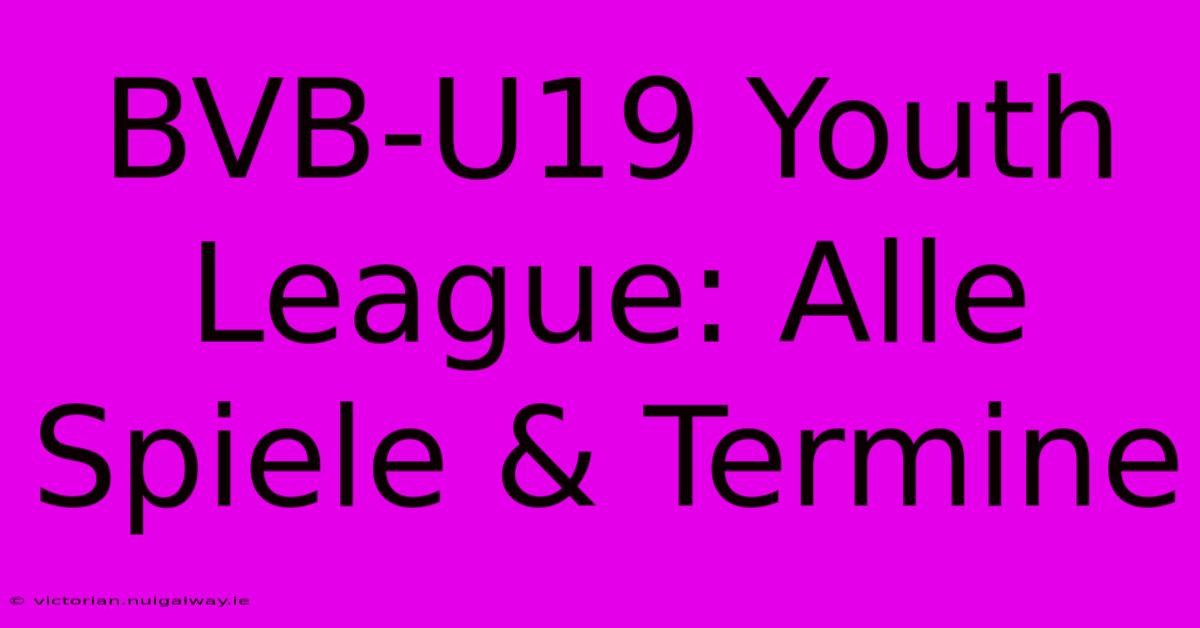 BVB-U19 Youth League: Alle Spiele & Termine