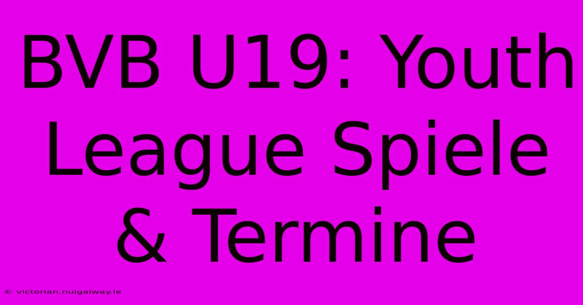 BVB U19: Youth League Spiele & Termine 