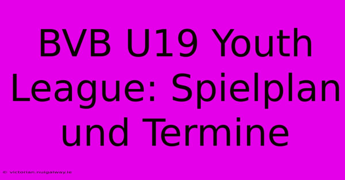 BVB U19 Youth League: Spielplan Und Termine