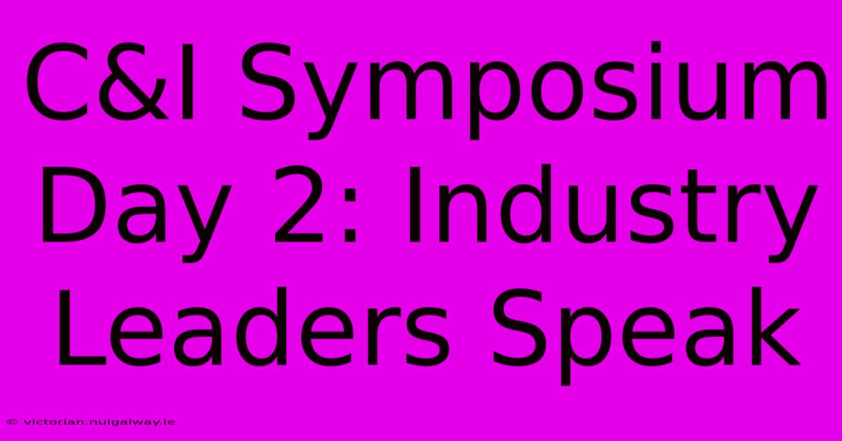 C&I Symposium Day 2: Industry Leaders Speak 