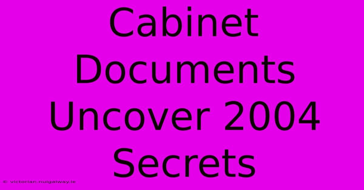 Cabinet Documents Uncover 2004 Secrets