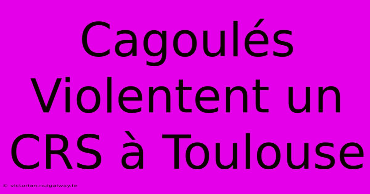 Cagoulés Violentent Un CRS À Toulouse