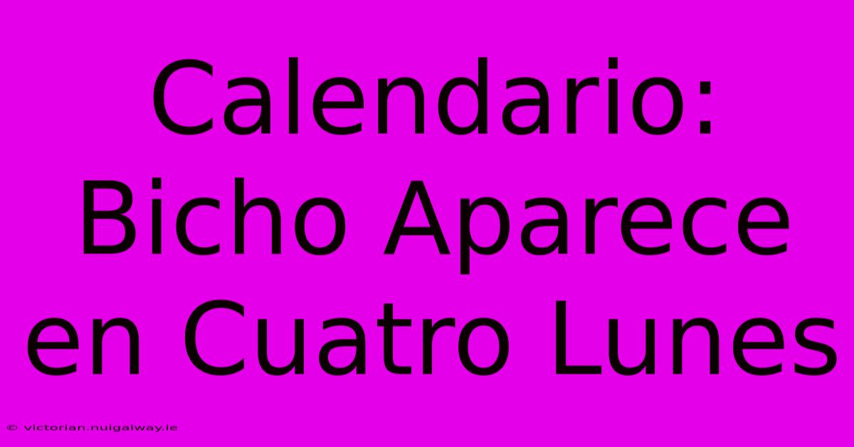 Calendario: Bicho Aparece En Cuatro Lunes