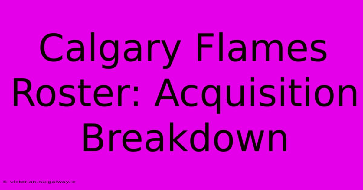 Calgary Flames Roster: Acquisition Breakdown