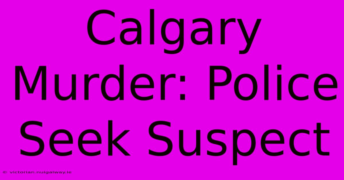 Calgary Murder: Police Seek Suspect