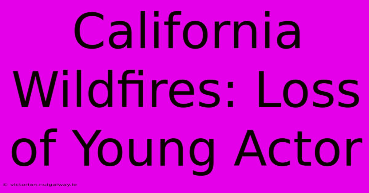 California Wildfires: Loss Of Young Actor