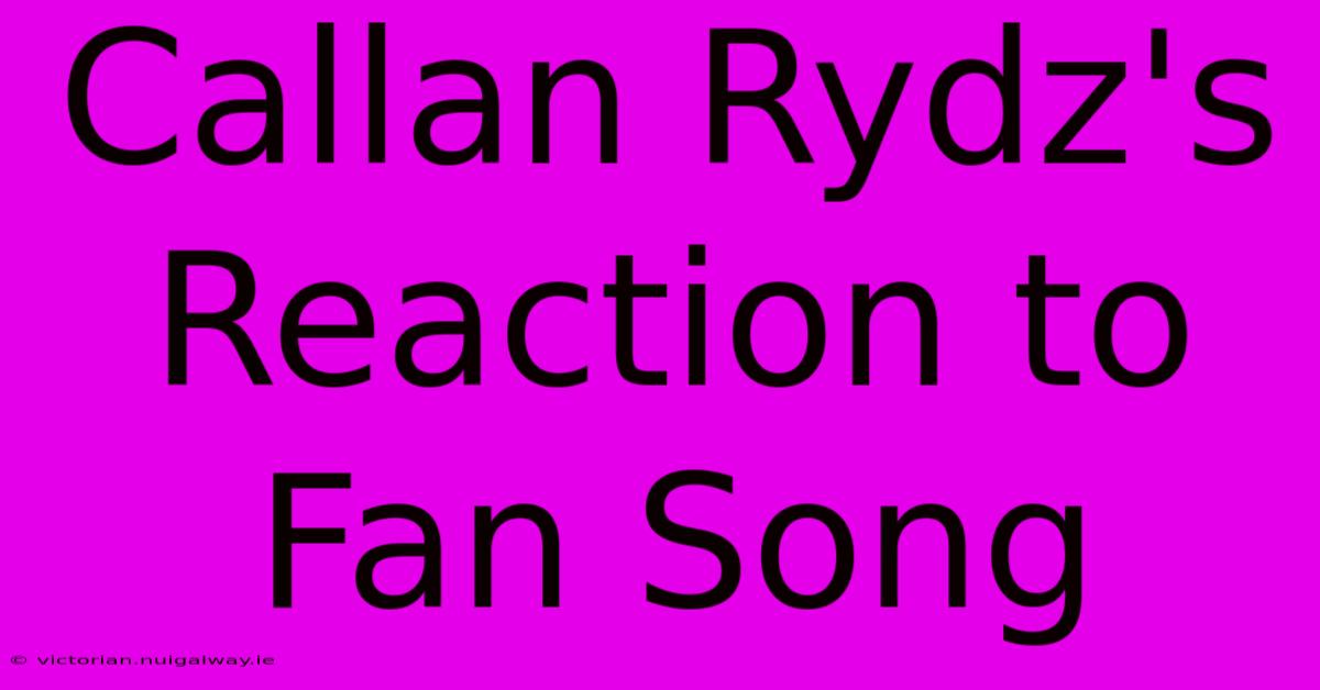 Callan Rydz's Reaction To Fan Song