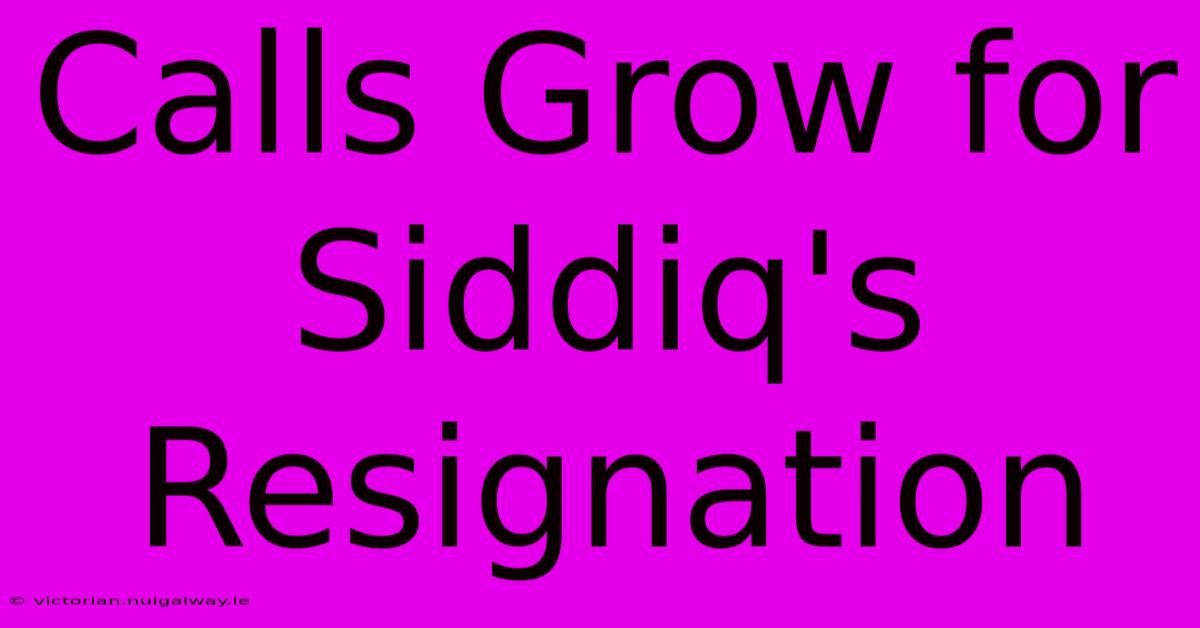 Calls Grow For Siddiq's Resignation