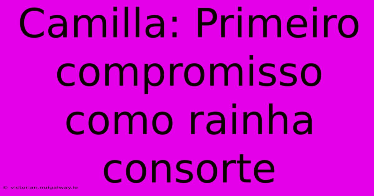 Camilla: Primeiro Compromisso Como Rainha Consorte