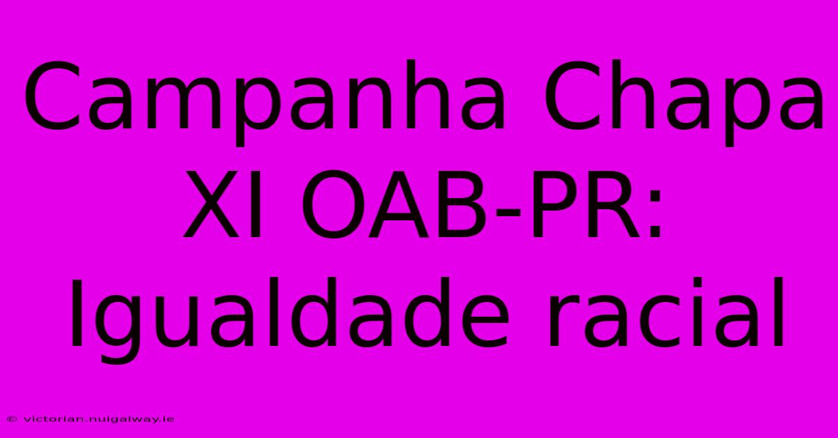 Campanha Chapa XI OAB-PR: Igualdade Racial