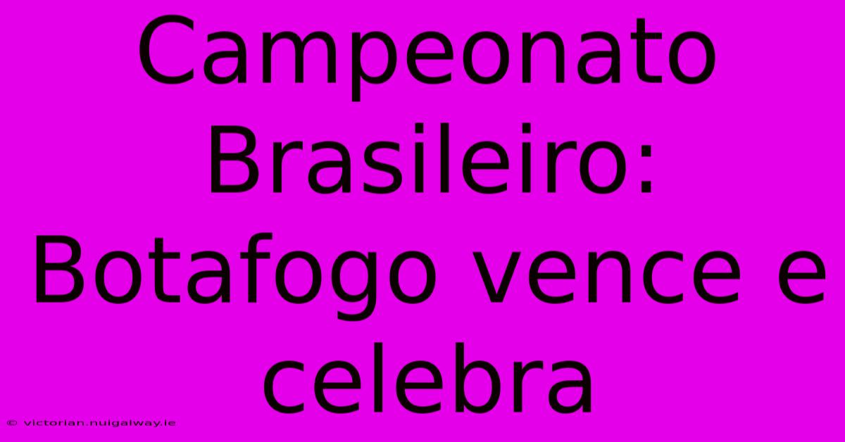 Campeonato Brasileiro: Botafogo Vence E Celebra