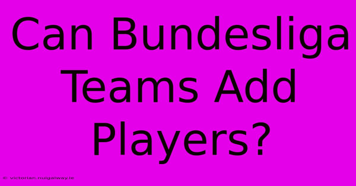 Can Bundesliga Teams Add Players?