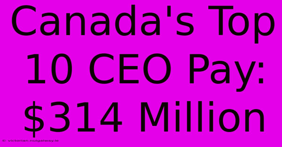 Canada's Top 10 CEO Pay: $314 Million