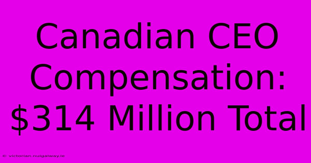 Canadian CEO Compensation: $314 Million Total