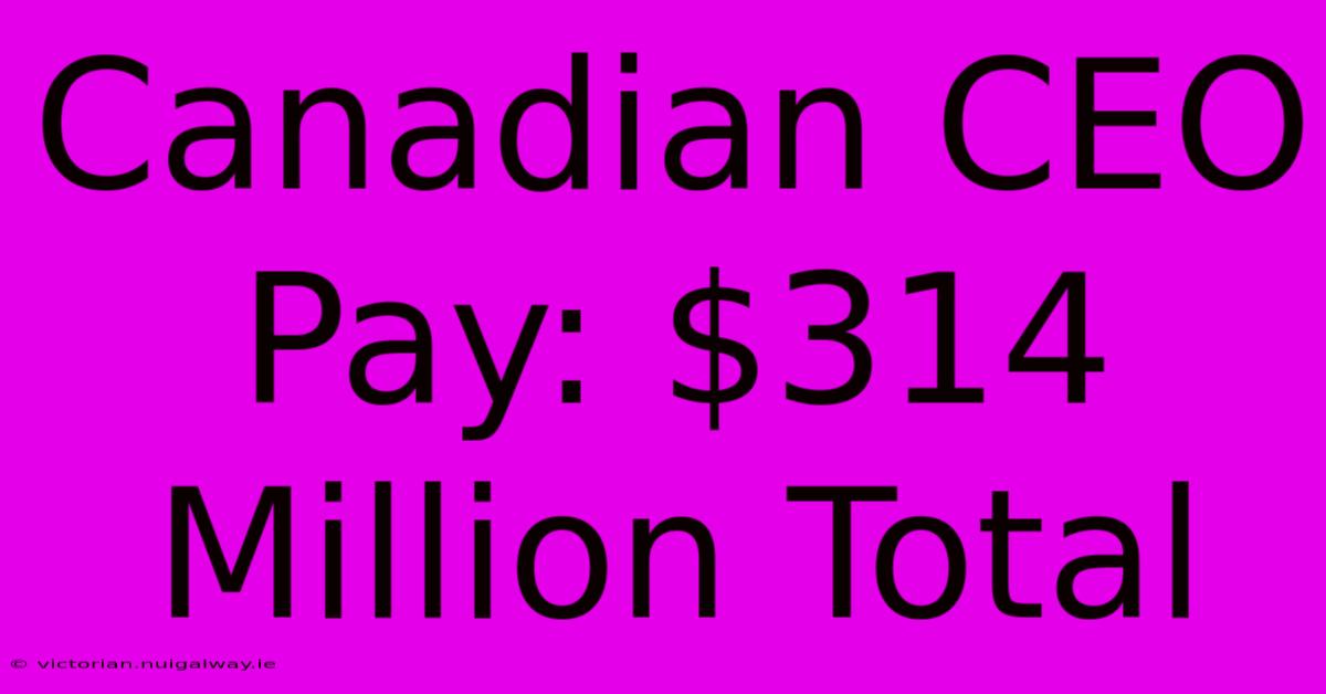 Canadian CEO Pay: $314 Million Total