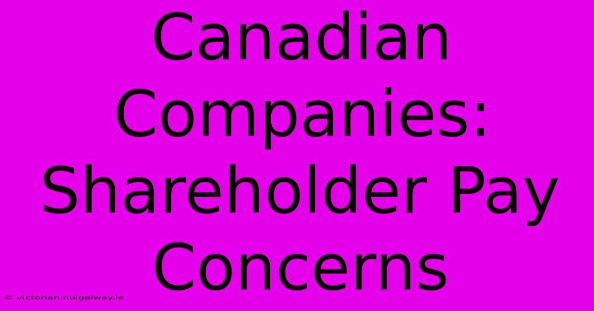 Canadian Companies: Shareholder Pay Concerns