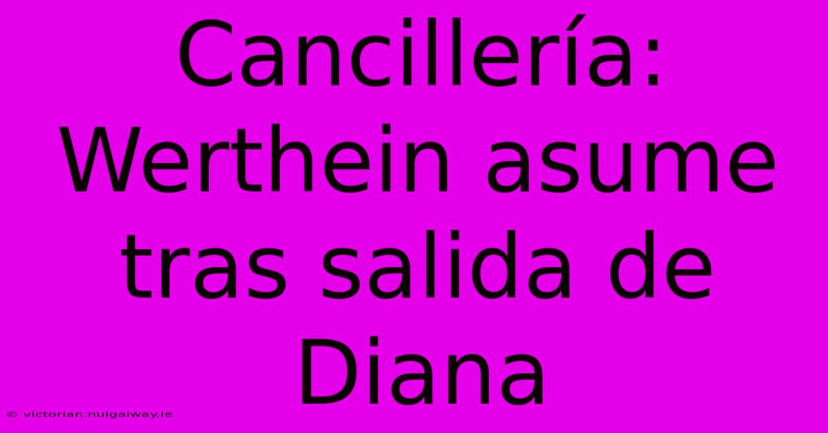 Cancillería: Werthein Asume Tras Salida De Diana