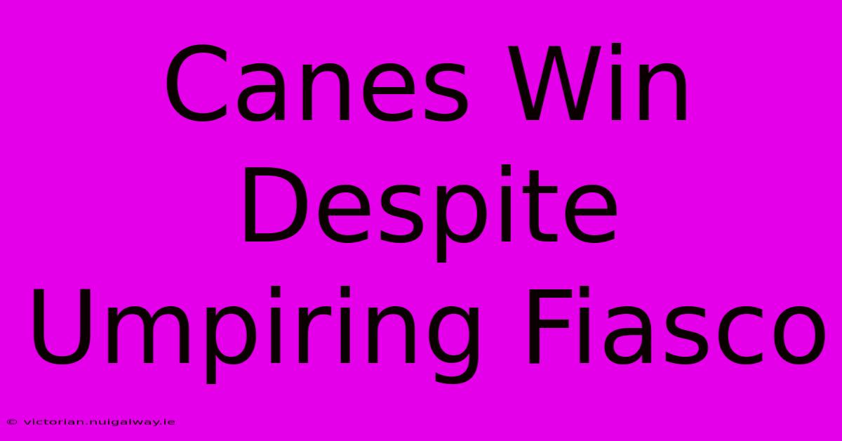 Canes Win Despite Umpiring Fiasco