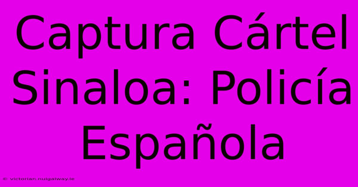 Captura Cártel Sinaloa: Policía Española