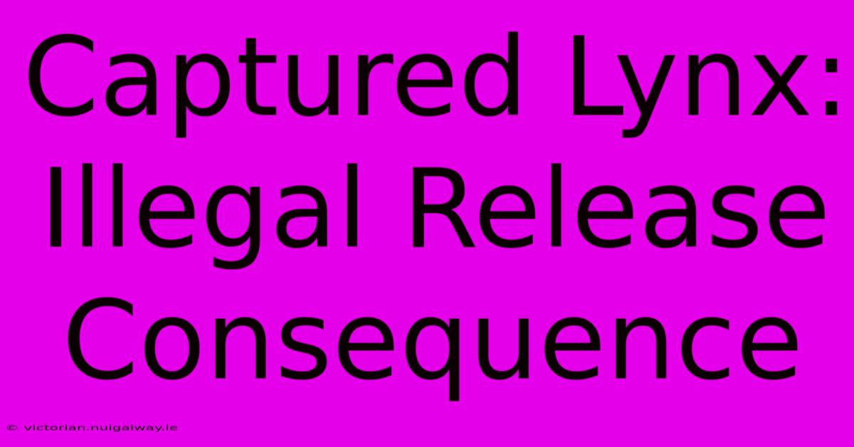 Captured Lynx: Illegal Release Consequence