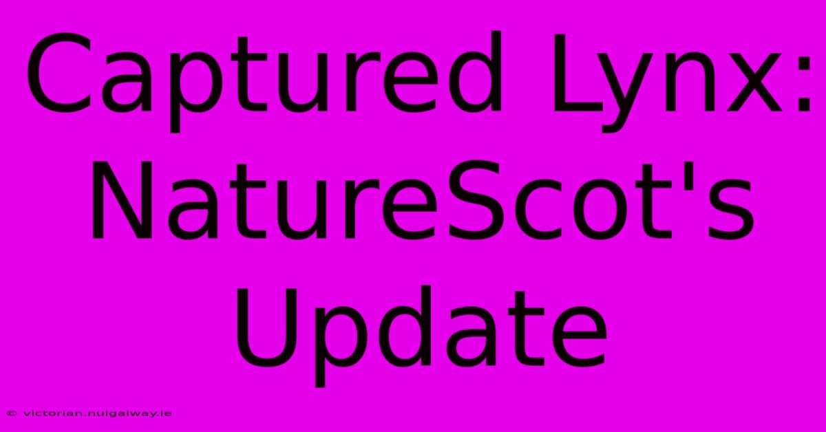 Captured Lynx: NatureScot's Update