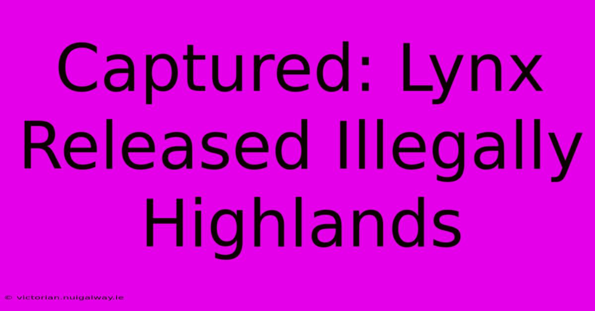 Captured: Lynx Released Illegally Highlands