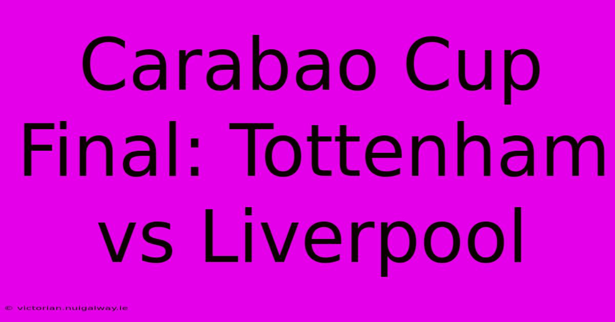 Carabao Cup Final: Tottenham Vs Liverpool