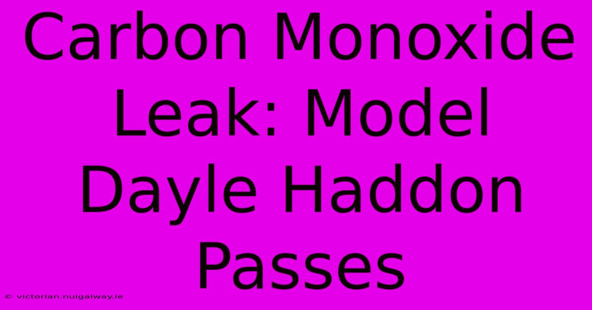 Carbon Monoxide Leak: Model Dayle Haddon Passes