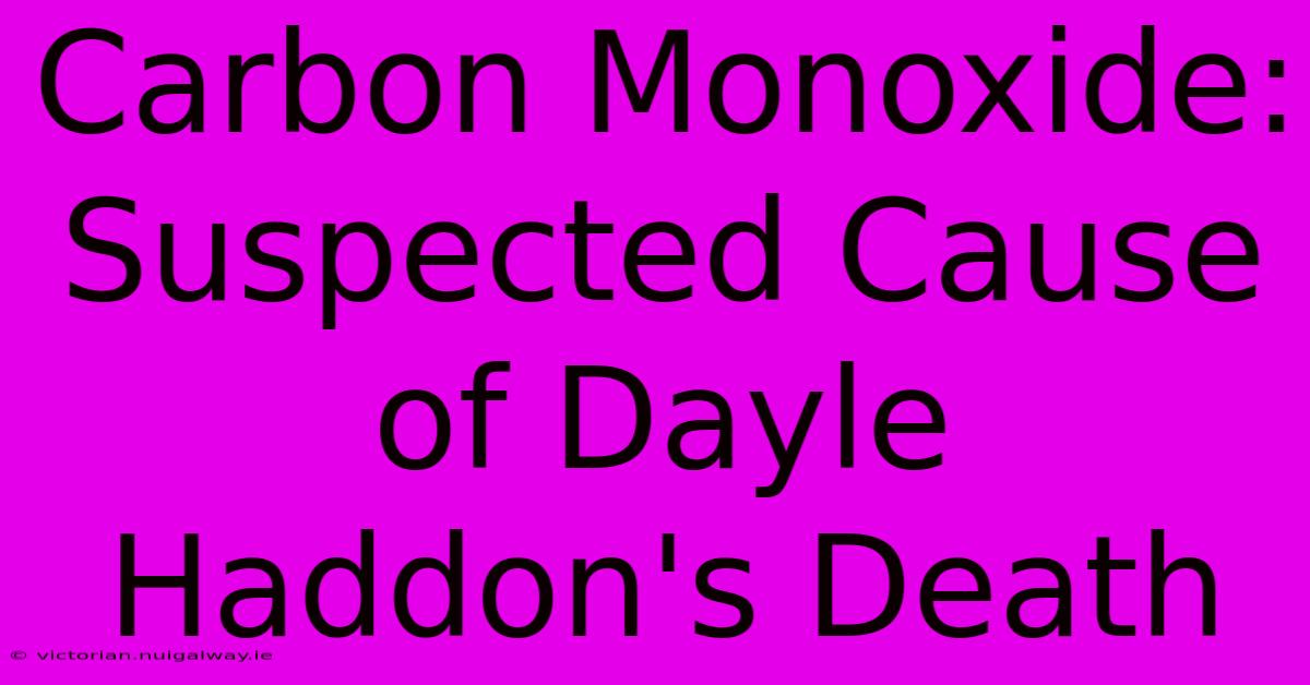 Carbon Monoxide: Suspected Cause Of Dayle Haddon's Death