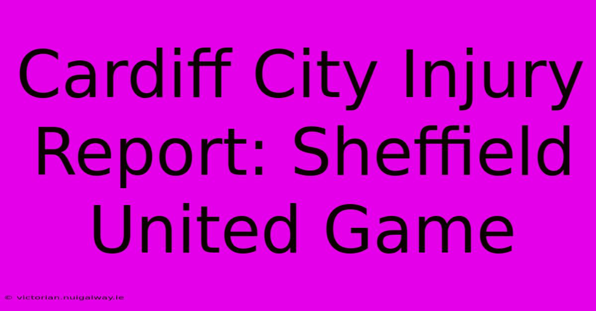 Cardiff City Injury Report: Sheffield United Game