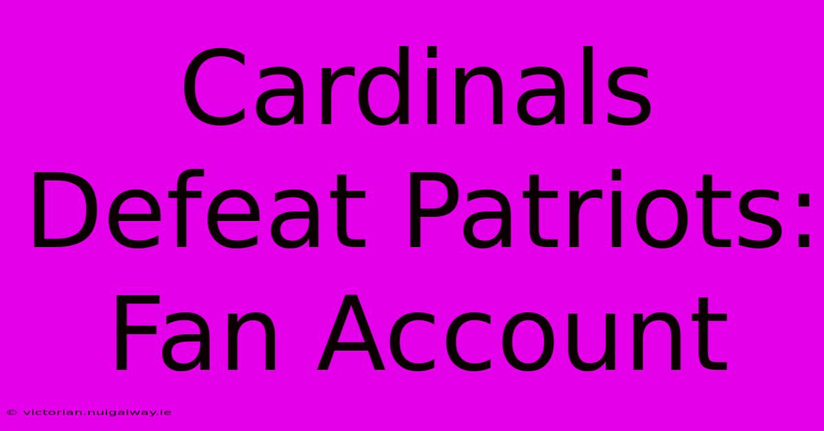 Cardinals Defeat Patriots: Fan Account