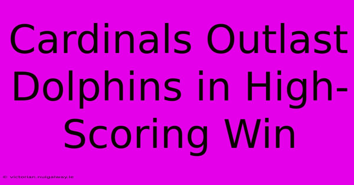 Cardinals Outlast Dolphins In High-Scoring Win