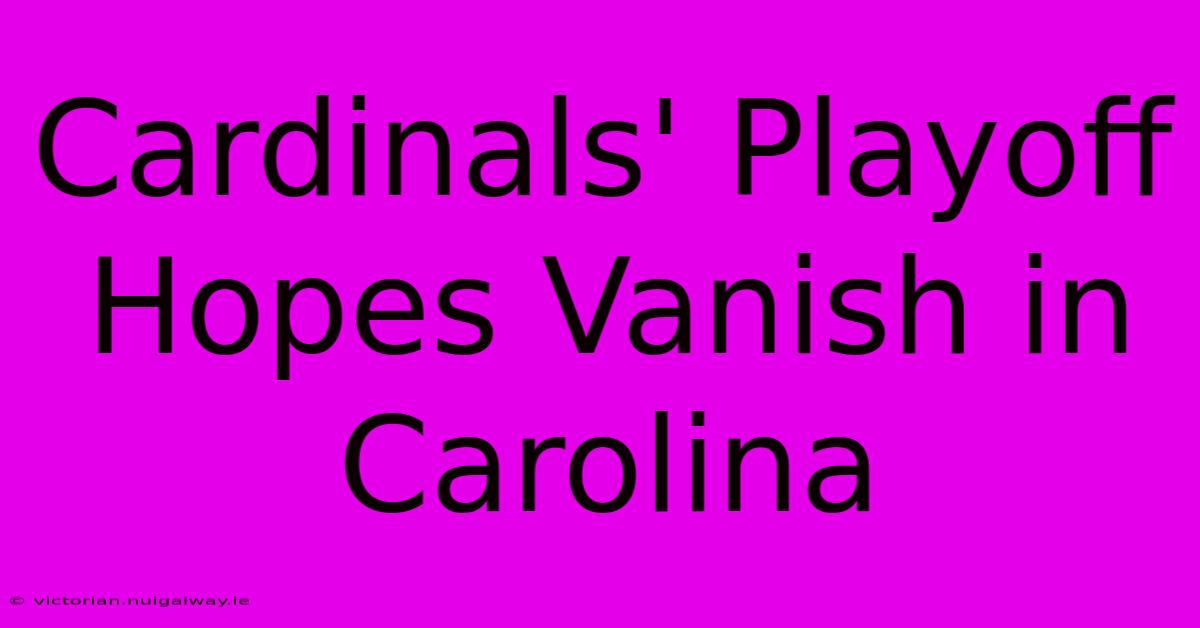 Cardinals' Playoff Hopes Vanish In Carolina