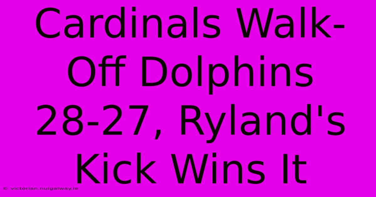 Cardinals Walk-Off Dolphins 28-27, Ryland's Kick Wins It