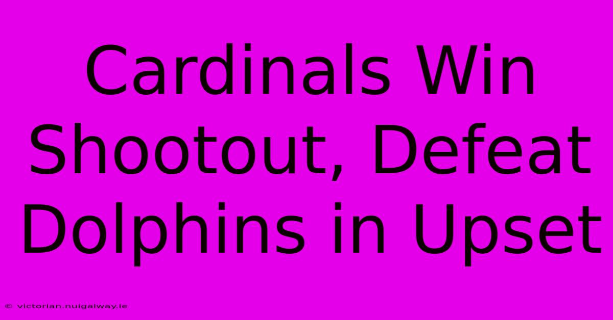 Cardinals Win Shootout, Defeat Dolphins In Upset 